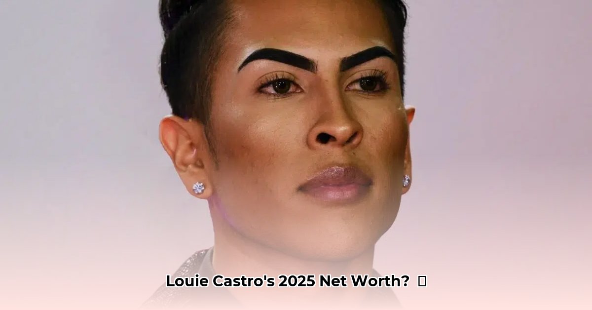 louie-castro-net-worth